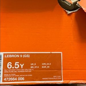 Lebron 9 (South Beach)